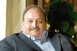 CBI files fresh case against Mehul Choksi for 'defrauding' Canara Bank-led consortium