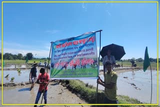 নিজস্ব ভাষা আৰু স্বীকৃতিৰ দাবীত পথাৰত ভূঁই ৰুই প্ৰতিবাদ চাওতাল ছাত্ৰ সন্থাৰ