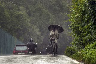 rain holiday at attapady taluk  kerala rain  kerala weather update  palakkad rain update  മഴ അവധി  അട്ടപ്പാടിയിലെ വിദ്യാഭ്യാസസ്ഥാപനങ്ങൾക്ക് ഇന്ന് അവധി  rain holiday for educational institution in attapady  പാലക്കാട് വാർത്ത  പാലക്കാട് മഴ  rain holiday