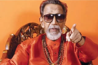 All due procedures followed for Bal Thackeray memorial construction: BMC tells HC