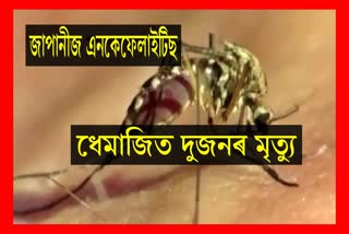 2 dead due to Japanese Encephalitis in Dhemaji