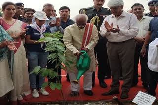 Tree Plantation Campaign of MDU Rohtak