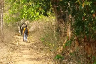 Former Maoist commander Naxalite murder in Latehar