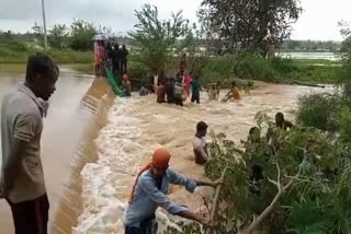 Villagers caught fish in the filled lake in davanagere