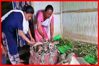 Women from Tingkhong being self reliant by ferming silk worm