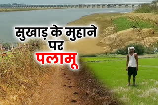 Drought like situation due to lack of rain in Palamu