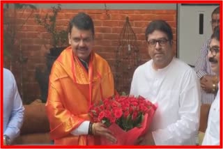 Devendra Fadnavis meets Raj Thackeray