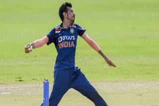 Brag Hogg on Yuzvendra Chahal, Yuzvendra Chahal performance, Bard Hogg, India cricket updates