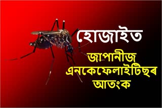 Japanese encephalitis in Assam