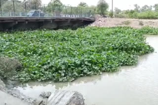 young girl body in Kondli canal found