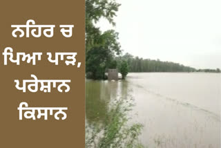 ਨਹਿਰ ਵਿੱਚ ਪਾੜ ਪੈ ਜਾਣ ਤਿੰਨ ਪਿੰਡਾਂ ਦੀ 200 ਏਕੜ ਝੋਨੇ ਦੀ ਫਸਲ ਡੁੱਬੀ