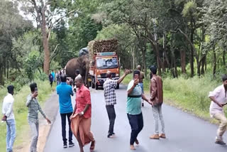 ஆபத்தை உணராமல் காட்டு யானையின் அருகே சென்று செல்பி எடுத்த பயணிகள்!!