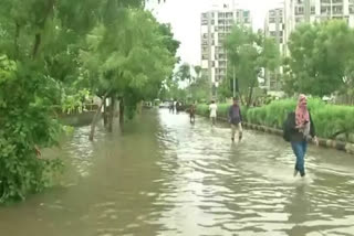 Gujarat: As flood waters recede, Surat Municipal Corporation undertakes cleanliness drive, damage assessment