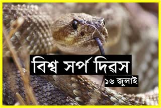 Fact about World Snake Day