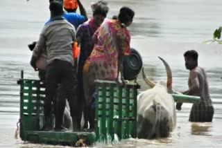 Bullock cart in Haveri Karnataka