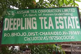 strong protest at dipling tea garden