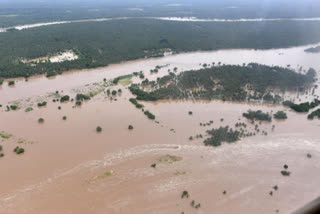 Swelling Godavari river inundates villages in Odisha district, several evacuated