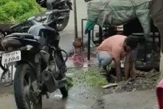 vegetable seller washed vegetable in drain water video maharashtra