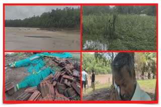 Flood Affect in Tapi : પૂર્ણા નદીના કિનારાના ગામોમાં તબાહીની બોલતી તસવીરો