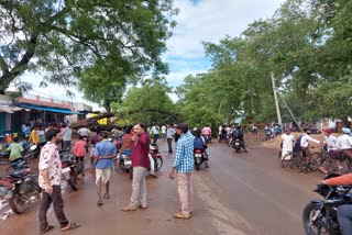 Kawardha Rajnandgaon road disrupted due to falling trees