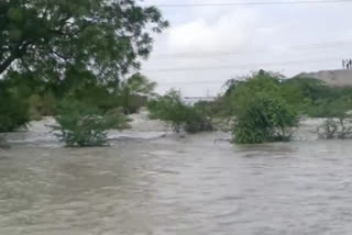 Dam burst in Nagpur