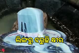 ଶିବଙ୍କ ଲିଙ୍ଗରୁ ବାହାରୁଛି କ୍ଷୀର