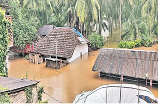 గోదావరి