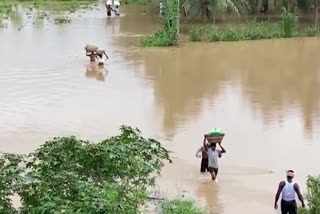 flood-prone-areas-in-andhrapradesh-have-become-chaotic