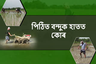 dsp-of-namrup-busy-in-paddy-field