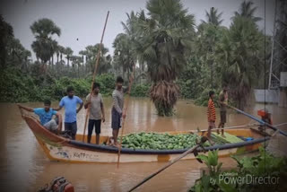 రైతులకు కడగండ్లు మిగిల్చిన గోదావరి వరదలు..