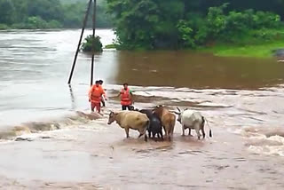 NDRF Rescue Team