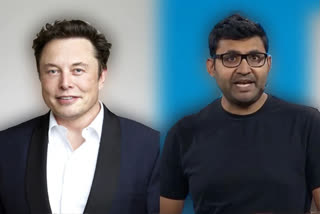 sources claims Elon Musk sent warning text to Twitter CEO Parag Agrawal
