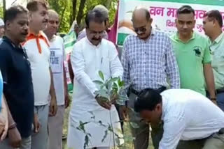 बीजेपी ने लगाए आप पर राजनीति करने का आरोप