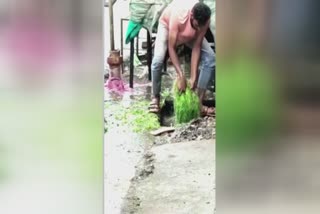 Maharashtra: Man washes vegetables from sewer water  booked after video goes viral  municipal administrator filed complaint against vegetable seller  case registered against vegetable seller who washes vegetables in sewer water  അഴുക്കുചാലിലെ വെള്ളത്തിൽ പച്ചക്കറി കഴുകി കച്ചവടക്കാരന്‍  വൈറല്‍ വീഡിയോ  വാർധ ജില്ല  മഹാരാഷ്ട്ര