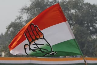 3 Congress MLA lost mp urban body elections