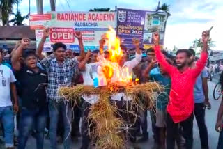 amsu burns electricity minister effigy in kalgaasia