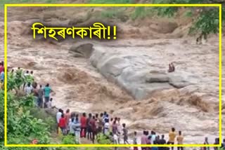 two-tourists-stuck-in-nagabali-river-rescued