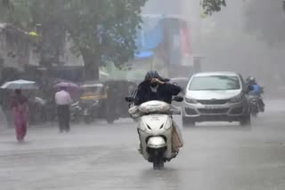 kerala weather update  rain yellow alert in districts  kerala rain  kerala monsoon  കേരളം കാലാവസ്ഥ മുന്നറിയിപ്പ്  ജില്ലകളിൽ യെല്ലോ അലർട്ട്  ഒറ്റപ്പെട്ട ശക്തമായ മഴ  മഴ മുന്നറിയിപ്പ്