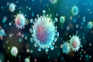 Coronavirus Cases in India Today