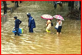 Maharashtra Monsoon Update