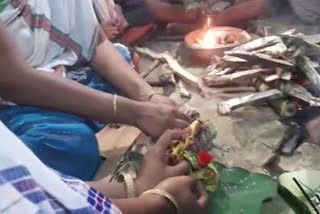 frog wedding held in titabar