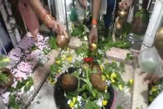 Sawan Puja at Kaleshwar Mahadev Temple in Janjgir Champa