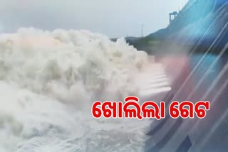 gates opened in hirakud dam