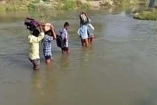 Students reach school taking risks by crossing Water Course without bridge