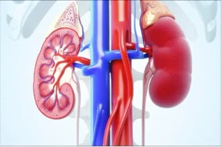 super-speciality-hospital-srinagar-becomes-valleys-second-hospital-to-perform-kidney-transplants