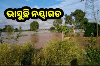 ଜଳାର୍ଣ୍ଣବ ନୟାଗଡ଼ ଜିଲ୍ଲା, ବ୍ୟାପକ କ୍ଷତି ସହିବେ ଚାଷୀକୂଳ