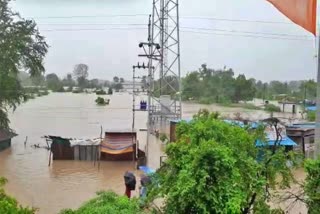 villages-flooded-due-to-heavy-rain-in-chimur-taluk-of-maharashtra