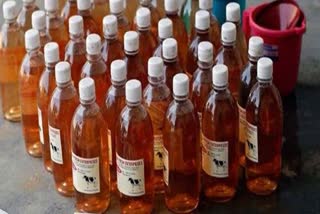 bhupesh government buy cow urine