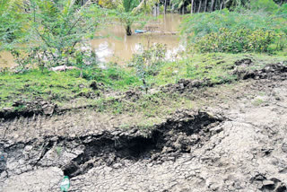 Godavari