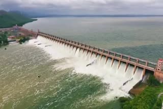 DAMS Water Level